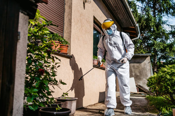 Best Pest Control for Businesses  in Rice, TX