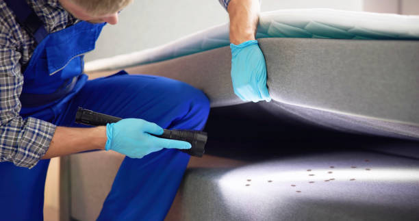 Best Pest Control Near Me  in Rice, TX
