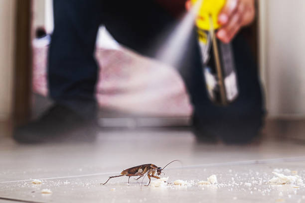 Best Pest Removal Services  in Rice, TX