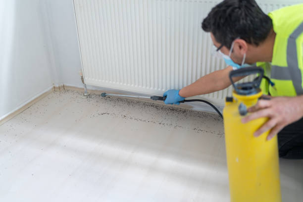 Best Ant Control Services  in Rice, TX