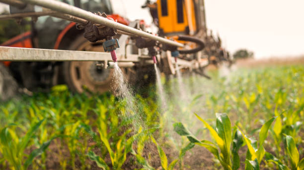 Best Wildlife Control Services  in Rice, TX